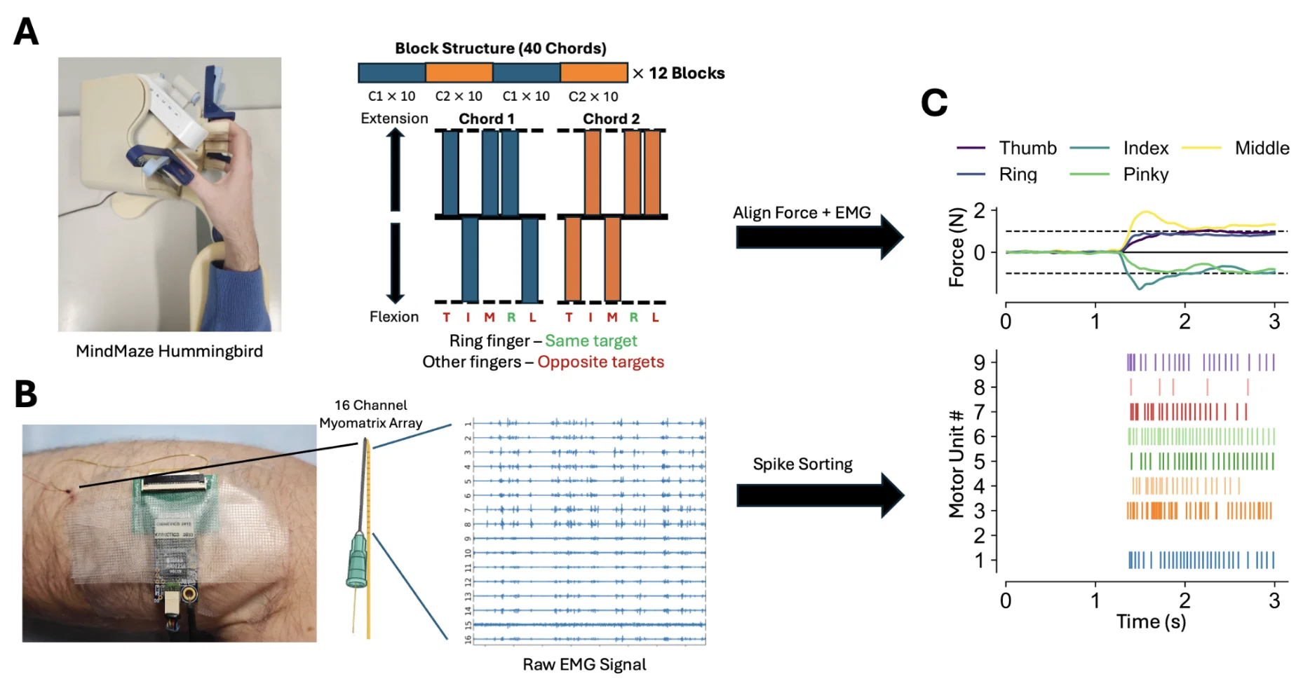 Finger chord task with a MindMaze Hummingbird device, a 16-channel Myomatrix array recording raw EMG from the forearm, and aligned finger forces with spike-sorted motor unit rasters