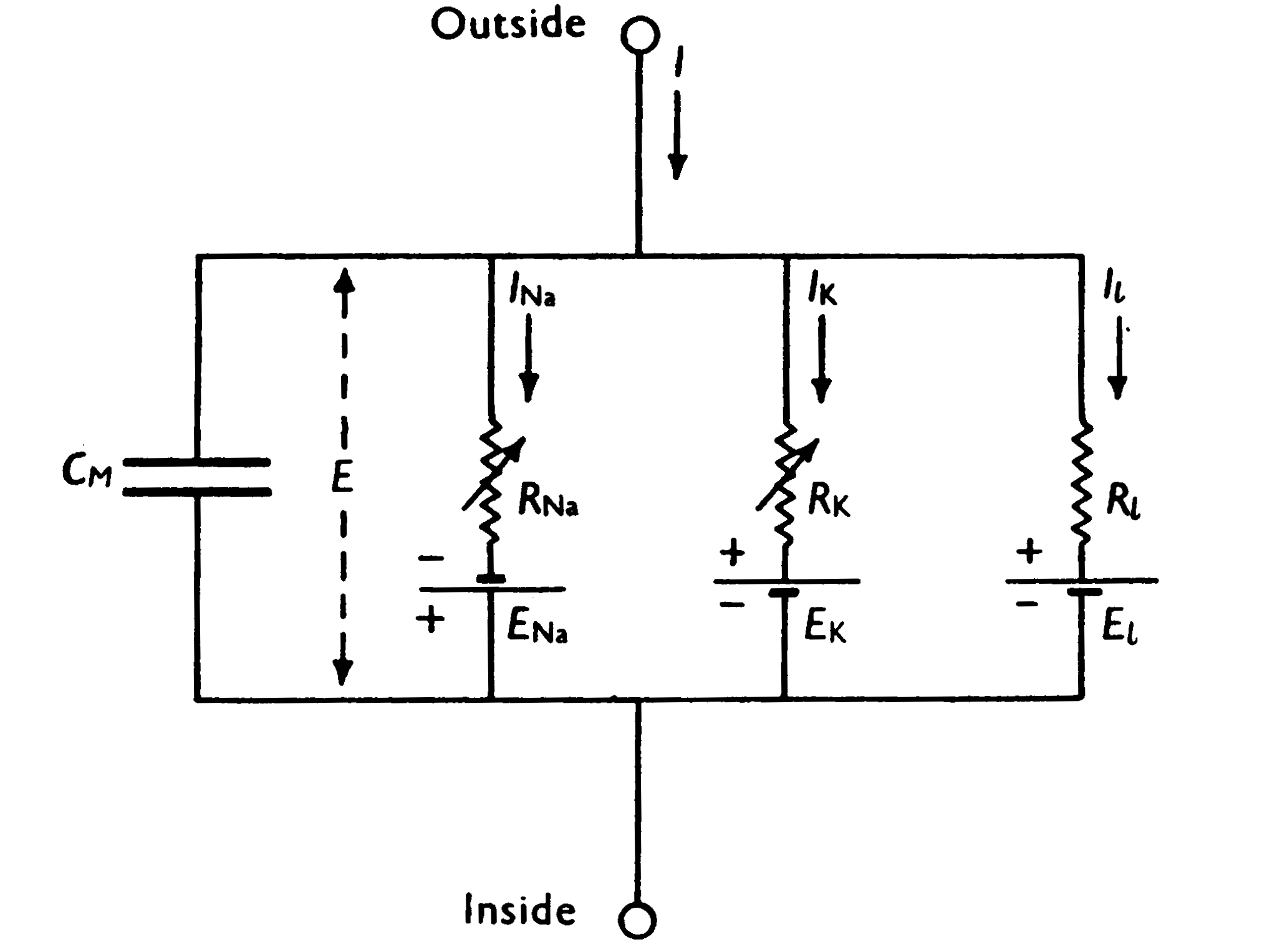 Figure 2: Hodgkin-Huxley model of voltage-gated ion channels